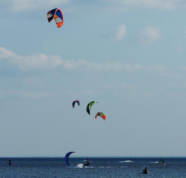 Kifesurfere